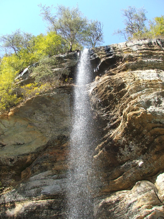 Cedar Falls