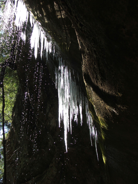 Cedar Falls