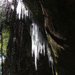 Cedar Falls