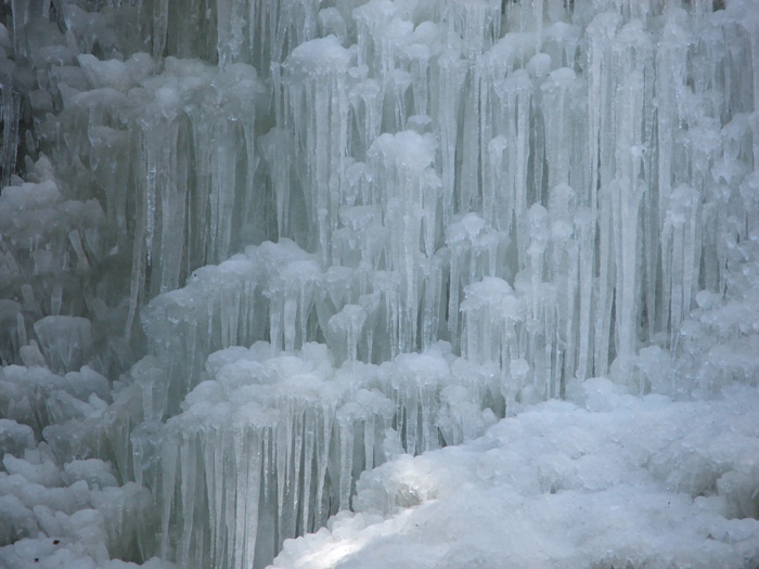 Cedar Falls
