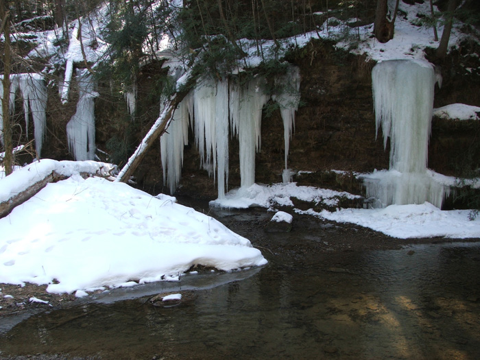 Cedar Falls