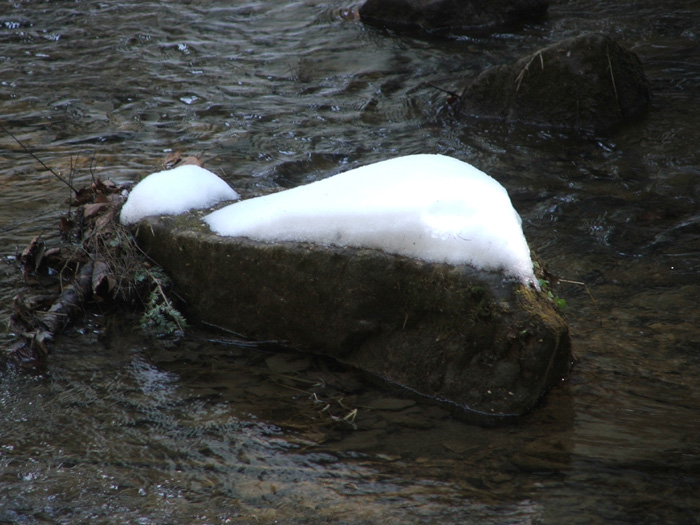 Cedar Falls