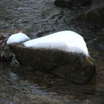 Cedar Falls