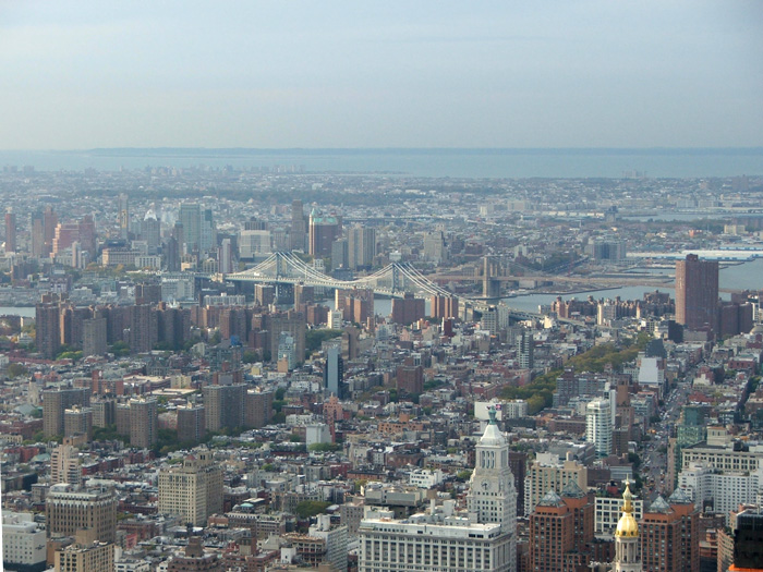 Manhattan & Brooklyn Bridges