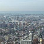 Manhattan & Brooklyn Bridges