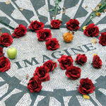 Strawberry Fields
