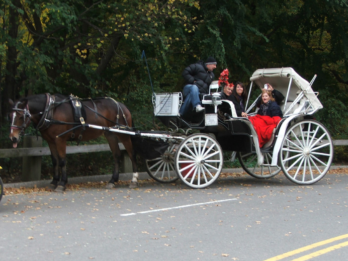 Horse-drawn Carriage