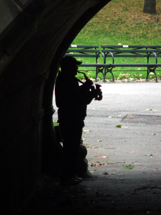 Musician