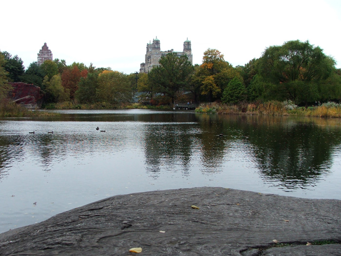 Turtle Pond
