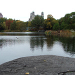 Turtle Pond