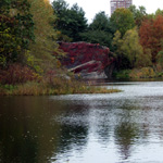Turtle Pond