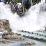 Shoot the Rapids