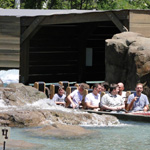 Shoot the Rapids