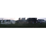 Cookout