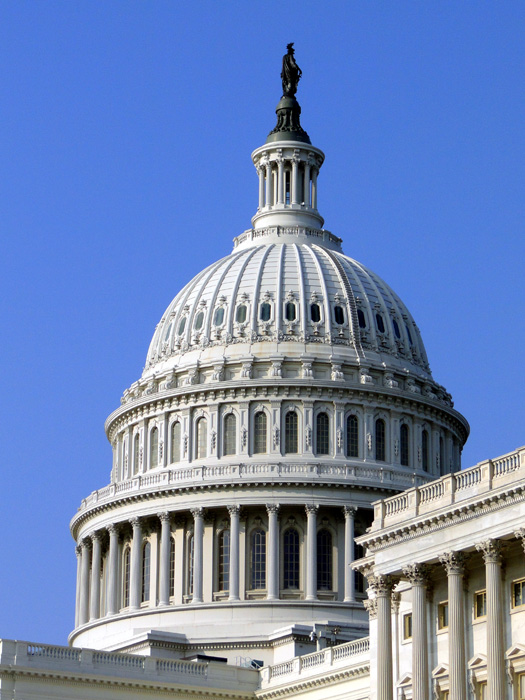 U.S. Capital Building