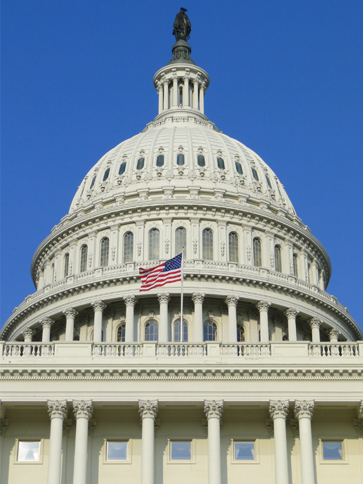 U.S. Capital Building