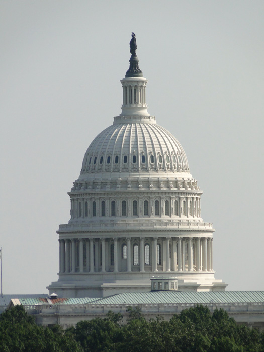 U.S. Capital Building