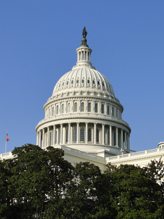 U.S. Capital Building