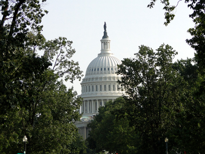 U.S. Capital Building