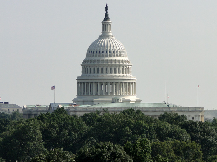 U.S. Capital Building