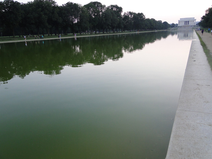 Reflecting pool