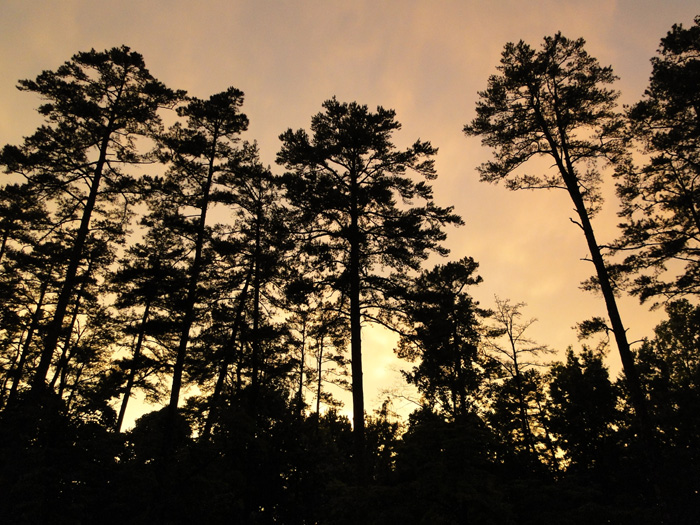 Sunset, Fort Mill, Sorth Carolina - 6/13/2010