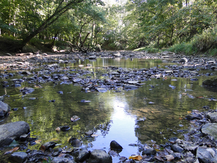 Vermillion River, Fitchville, Ohio - 9/5/2010