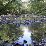 Vermillion River