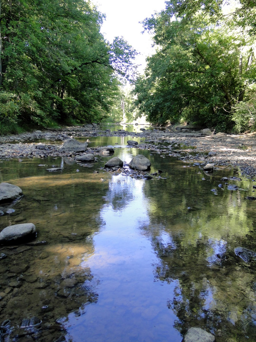 Vermillion River, Fitchville, Ohio - 9/5/2010