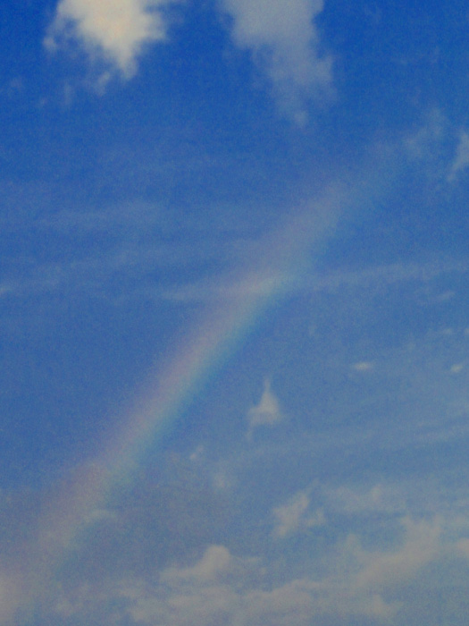 Rainbow, Buckeye Lake, Ohio - 7/28/2010