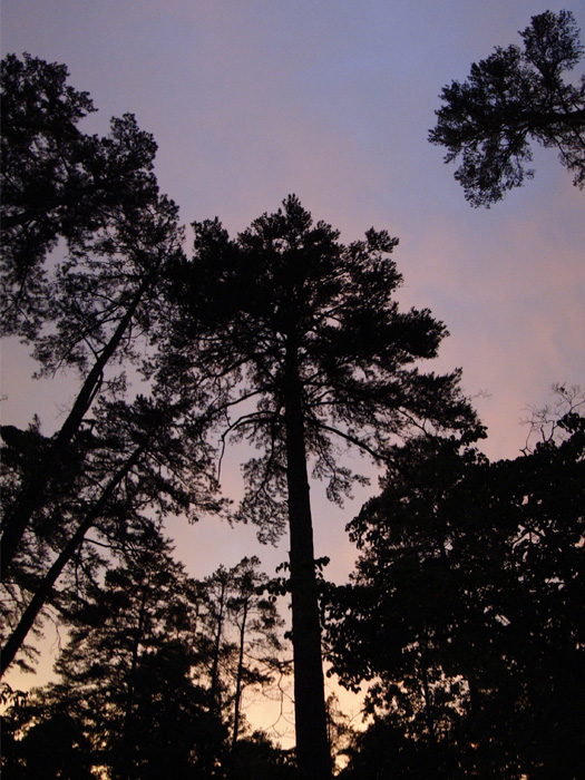 Sunset, Fort Mill, Sorth Carolina - 6/13/2010