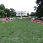 Lafayette Square