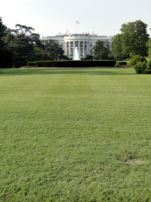 White House