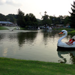 Swan Lake