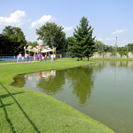 Kite Flyer & Swan Lake
