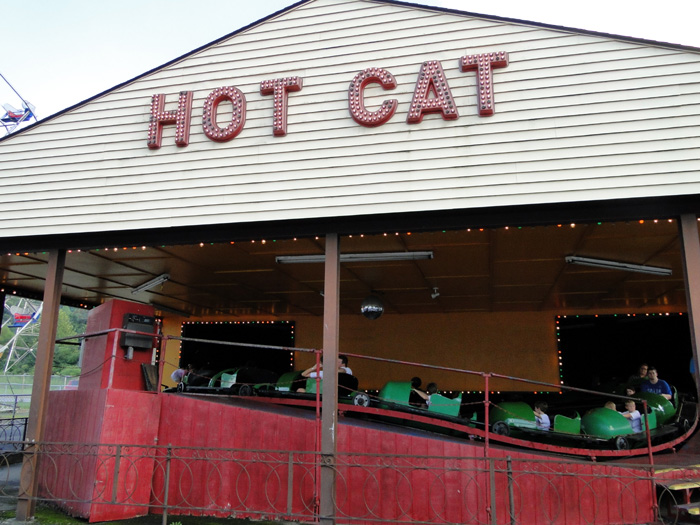 Hot Cat
