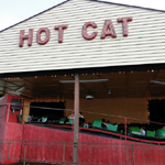 Hot Cat