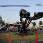 Spider