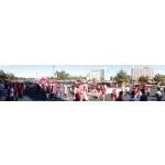 Crowds