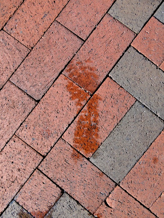 My Footprint