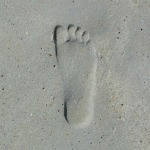 Rehoboth Beach - 8/20/2011