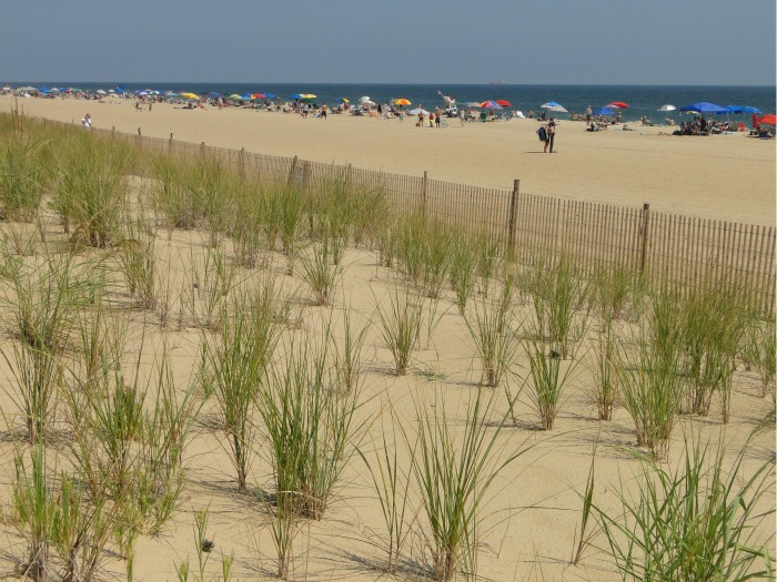 Rehoboth Beach