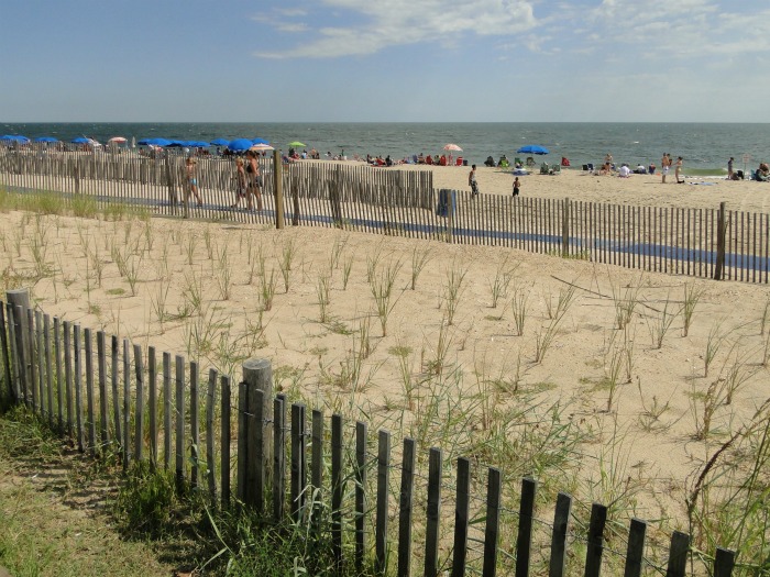 Rehoboth Beach