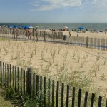 Rehoboth Beach