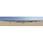 Rehoboth Beach