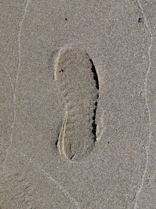 My Footprint