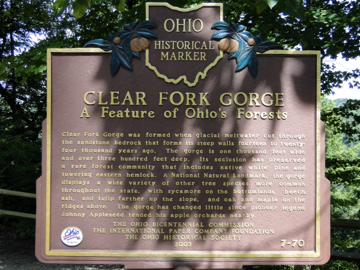 Gorge Overlook