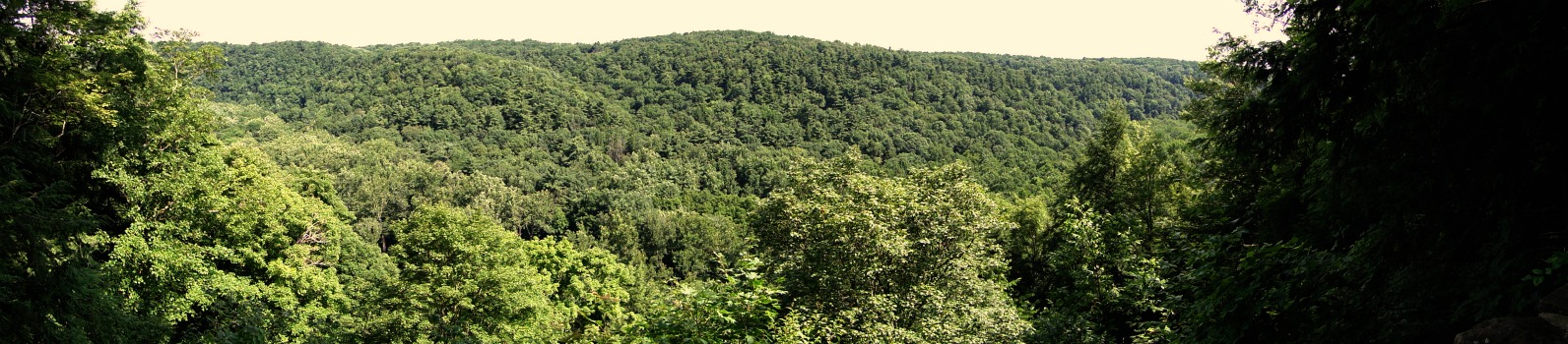 Gorge Overlook