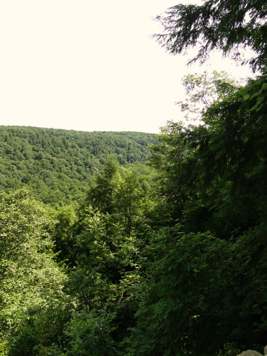 Gorge Overlook