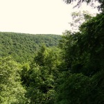 Gorge Overlook